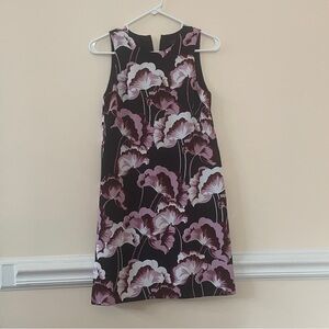 Ann Taylor Dress
